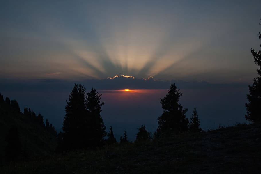 mountains, evening, sun, sunset, sky, beauty in nature, tree HD wallpaper