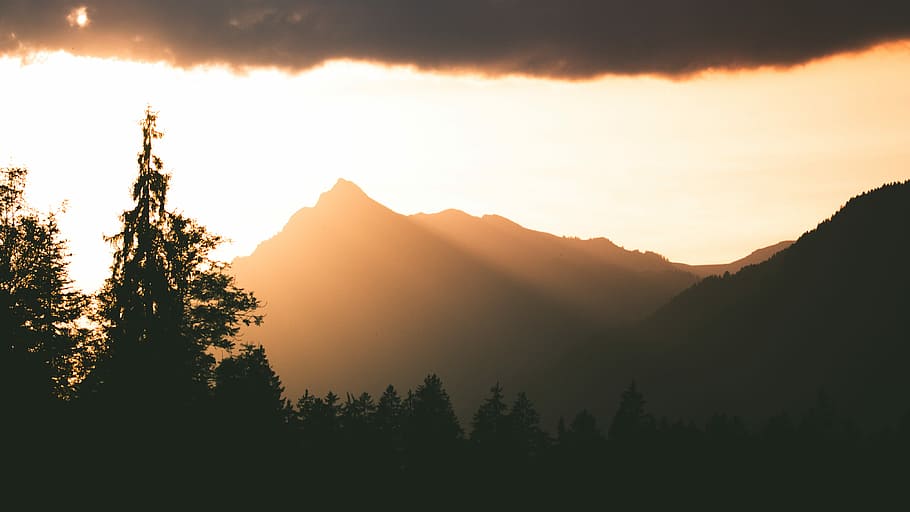 silhouette photography of mountain during golden hour, mountain and forest during golden hour HD wallpaper