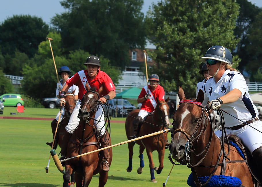 polo, field games, sticks, ball, horseback, group of people