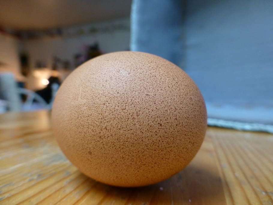 egg, chicken, beige, brown, food, farm, nature, organic, hen HD wallpaper