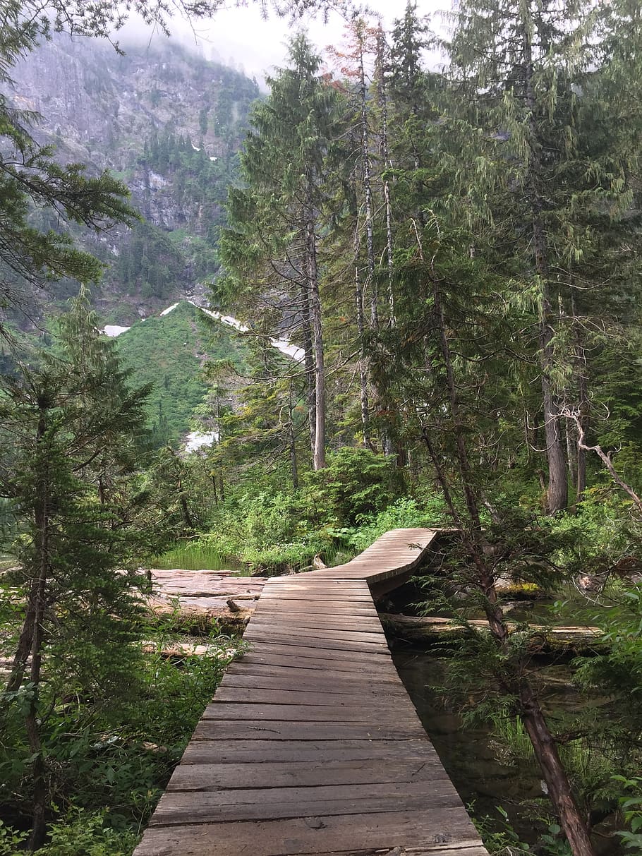 lake, wilderness, mountain, trees, forest, the way forward HD wallpaper