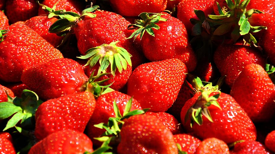 Fruit, Strawberry, Red, Strawberries, red strawberries, spring HD wallpaper