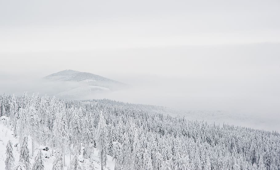 mountains, snow, fog, beauty in nature, tranquil scene, cold temperature HD wallpaper