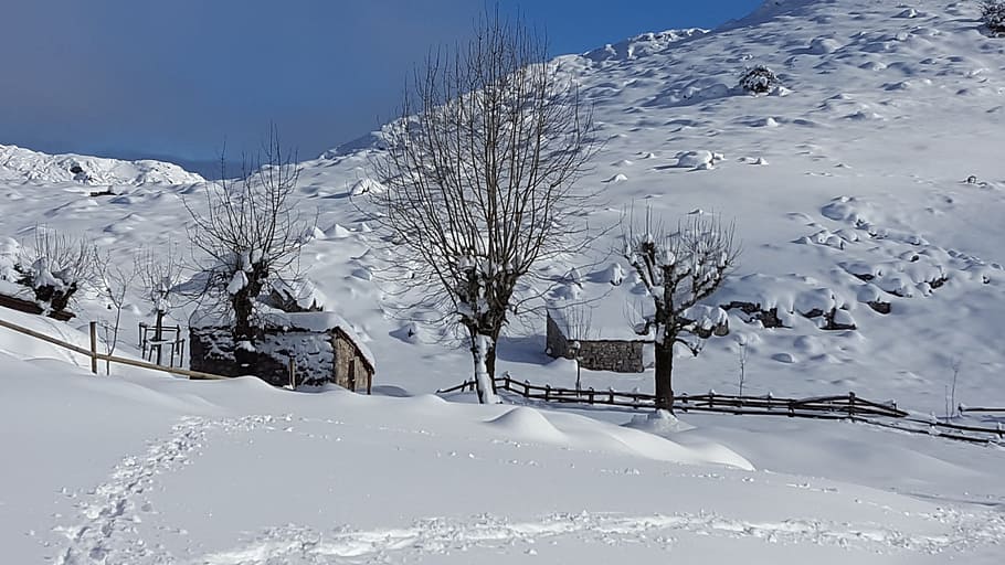 snow, winter, cold, mountain, ice, cold temperature, environment HD wallpaper