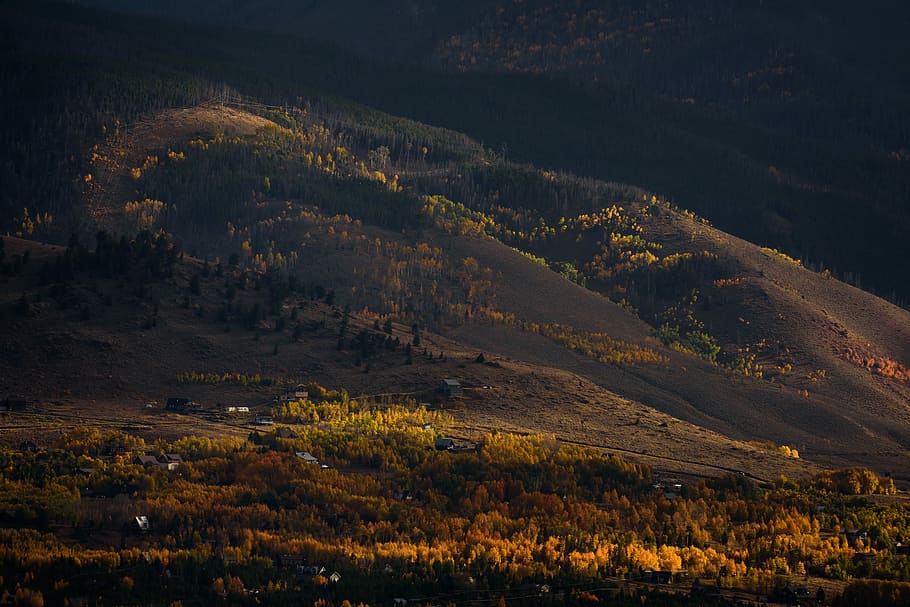 aerial photo of houses on hill surrounded with trees during daytime photo, areal view of mountain HD wallpaper