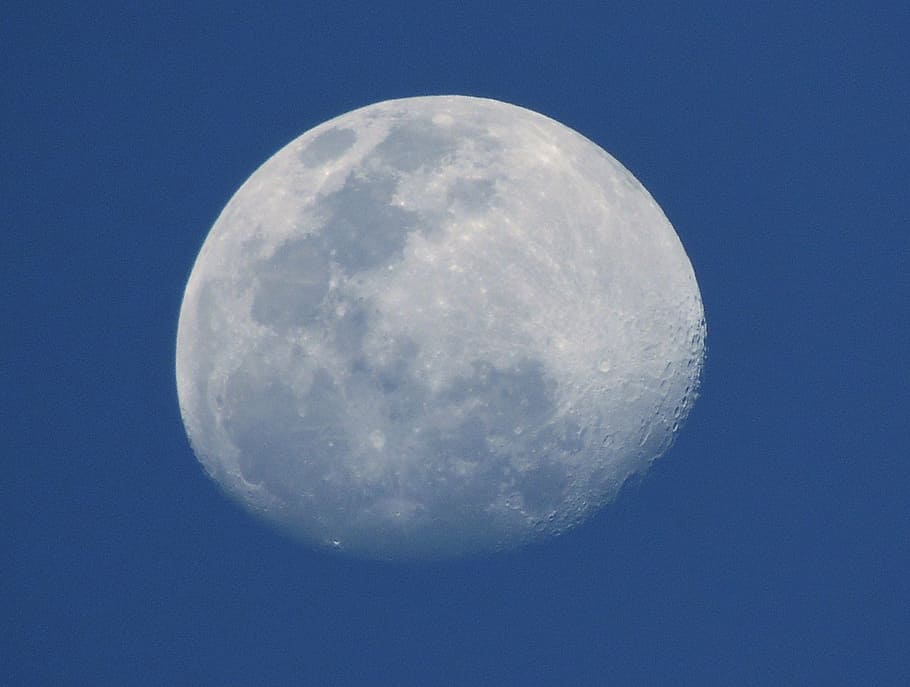 low angle photo of full moon, day, sky, daytime, space, astronomy HD wallpaper