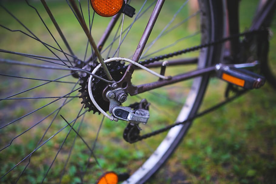 bike, bicycle, derailleur, wheel, spokes, cycling, ride, transportation