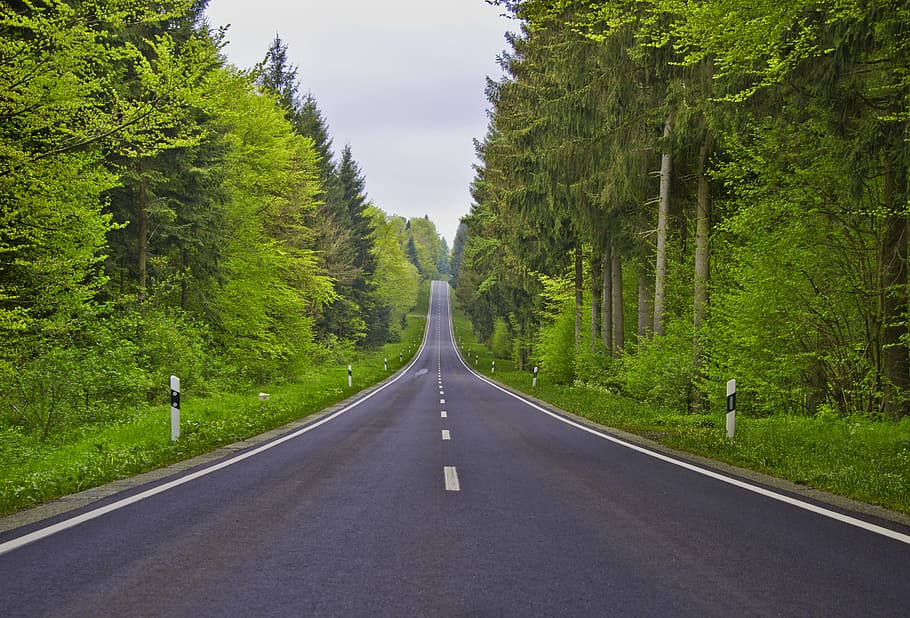 gray road, valley, forest, away, infinite, just, silhouette, avenue