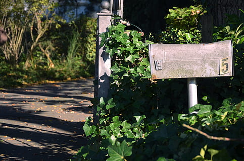 brown mailbox beside the gate, post box, letter, delivery, postbox HD wallpaper