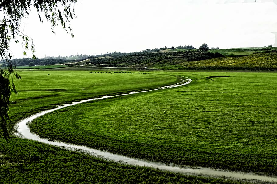 landscape, green, jpeg, nature, rural Scene, outdoors, grass HD wallpaper