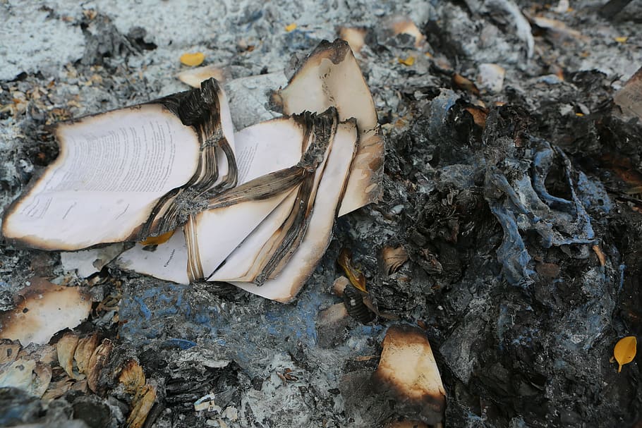 burned book pages, books, burnt, burning, ashes, fire, no people HD wallpaper