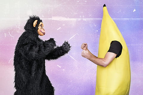 Gorilla and Banana man fighting, animals, whimsical, lazy, monkey HD wallpaper
