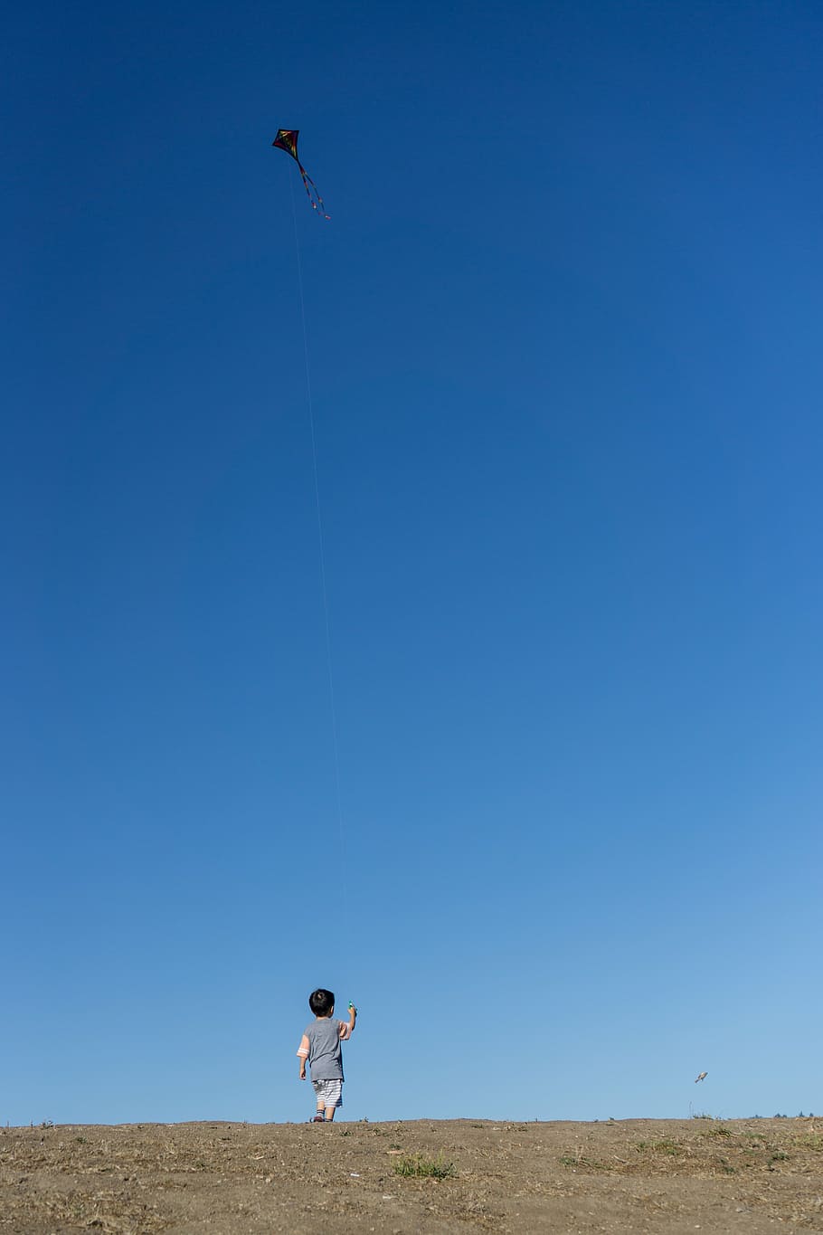 boy playing kite, sky, blue, wind, flying, child, summertime HD wallpaper