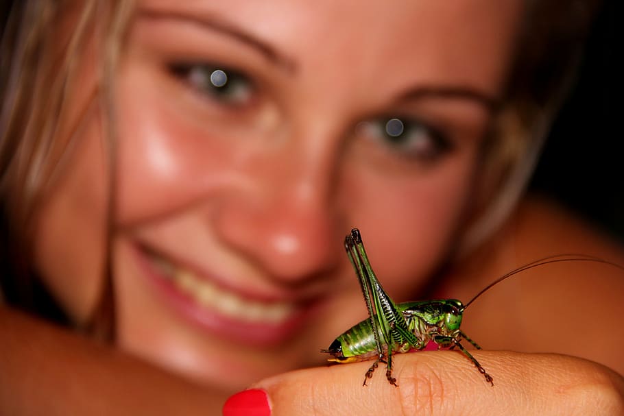 grasshopper, beetle, green, insect, girl, friendship, one animal HD wallpaper