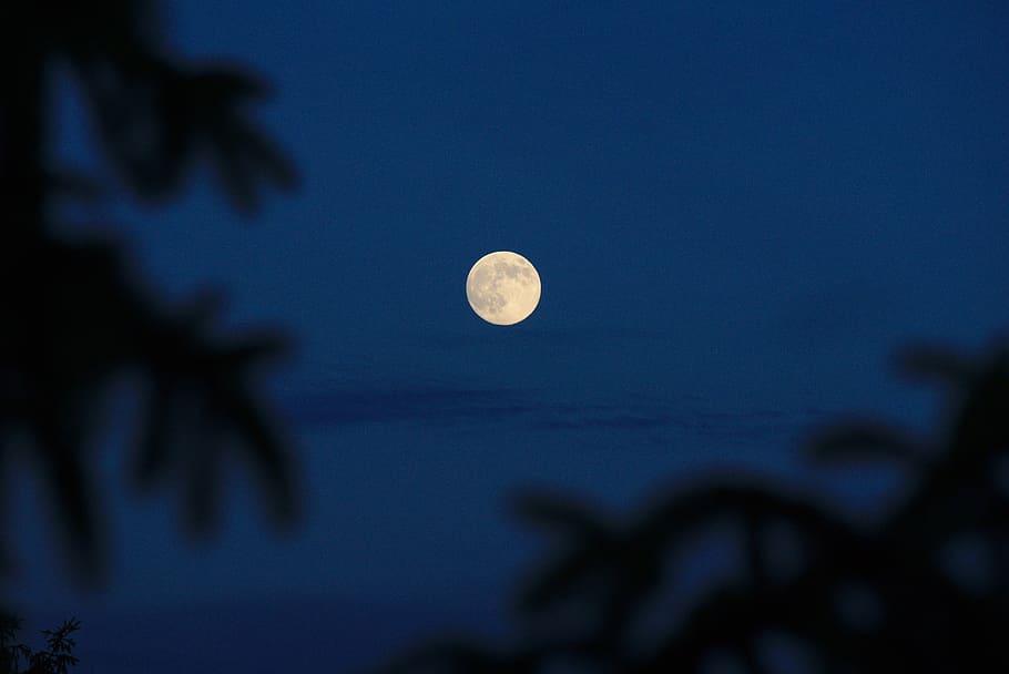 moon, night, full, dark, sky, lunar, astronomy, space, planetary moon HD wallpaper