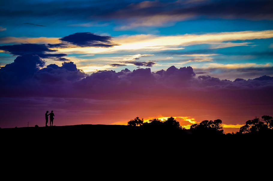 Sunset Silhouette, trees silhouette during golden hour, person HD wallpaper
