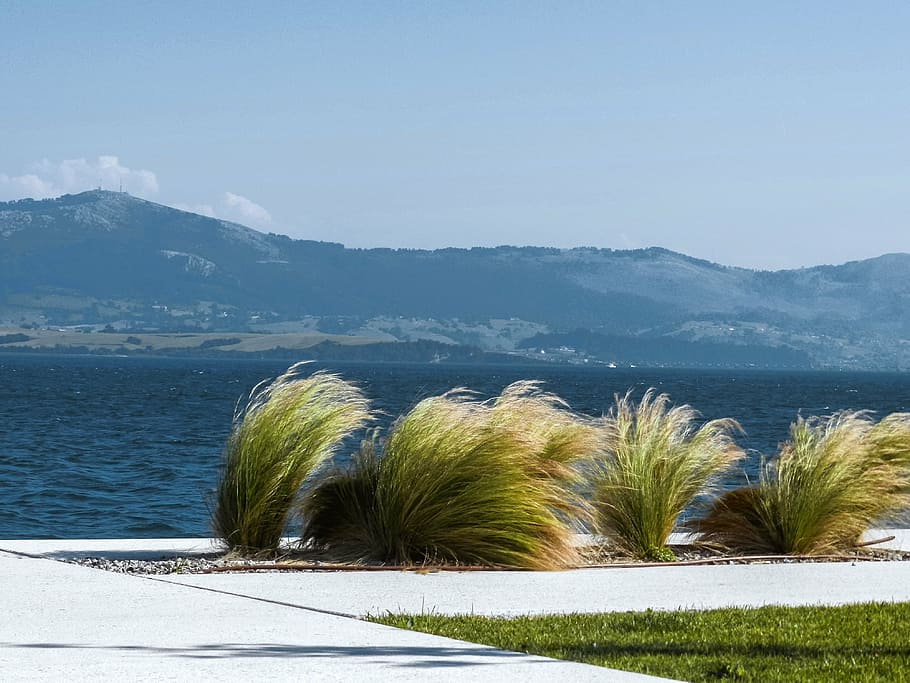 landscape, costa, wind plants, blue, bay, mountain, edge of the sea HD wallpaper