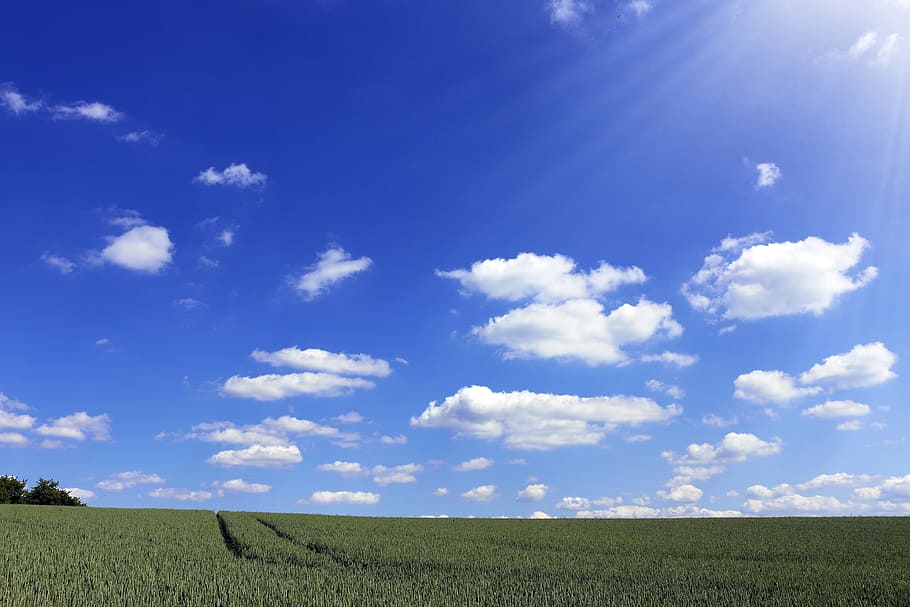 green grass field, cloud, blue, sky, sunny, landscape, water HD wallpaper