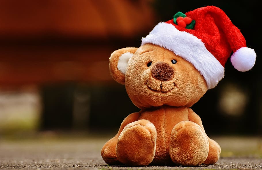 selective focus photo of brown bear plush toy wearing red and white Santa hat over concrete ground, HD wallpaper