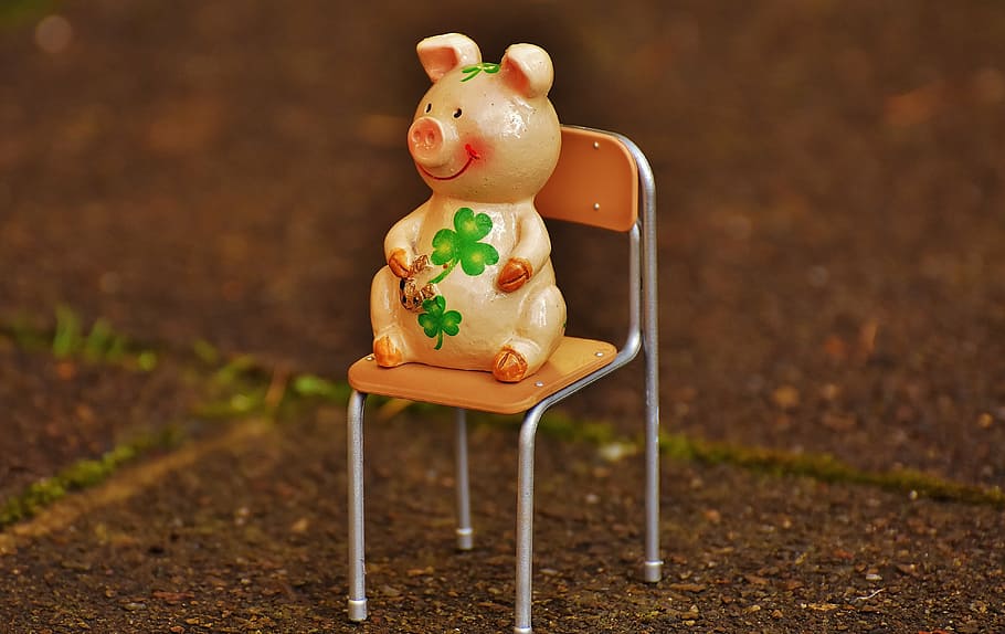 lucky pig, figure, lucky charm, funny, chair, sit, sweet, animal, HD wallpaper