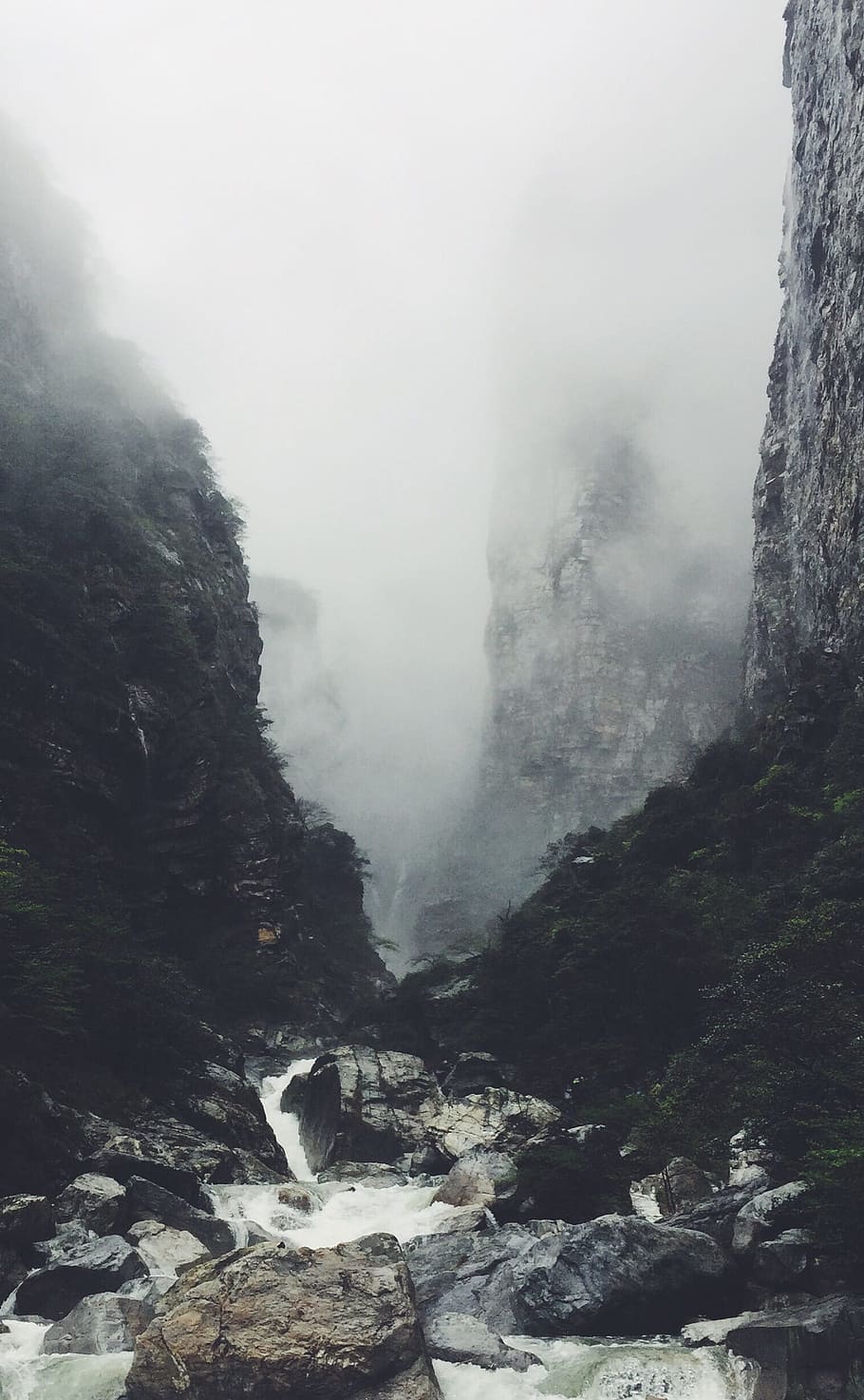 mountains covered with smokes at daytime, rocky river between cliffs during foggy weather HD wallpaper