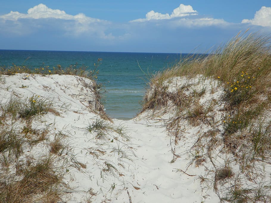 dune, sand, sea, dune ridge, path, water, sky, horizon over water HD wallpaper