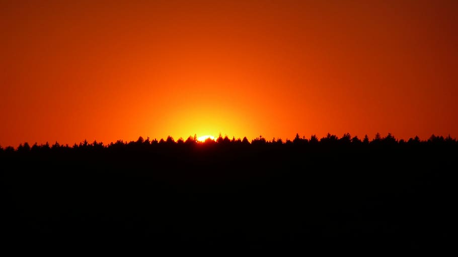 Sunset, Trees, Background, Nature, evening, red, light, effect HD wallpaper