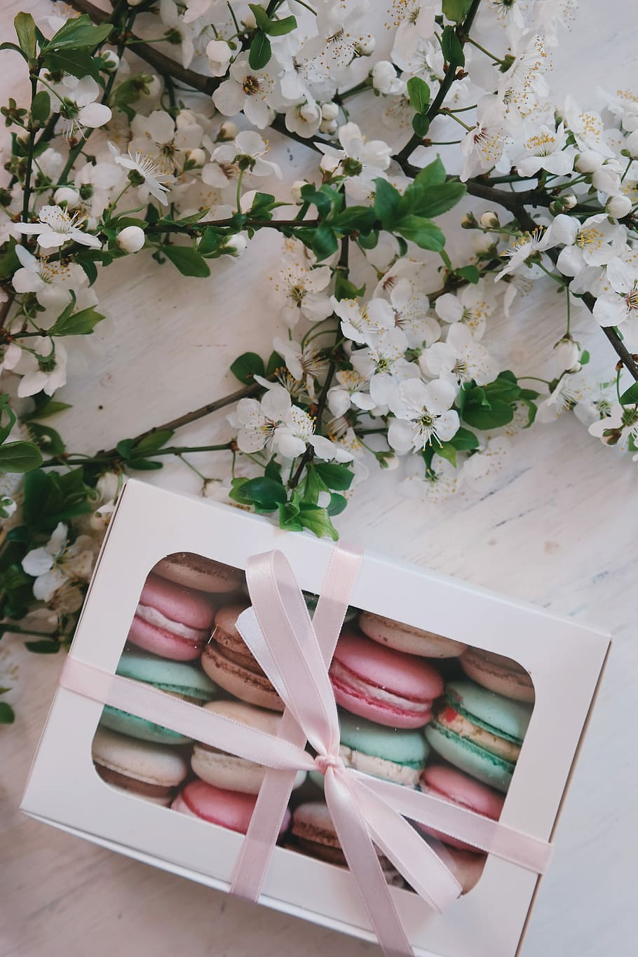French macarons in white box, pink, green, and brown macaroons in box HD wallpaper