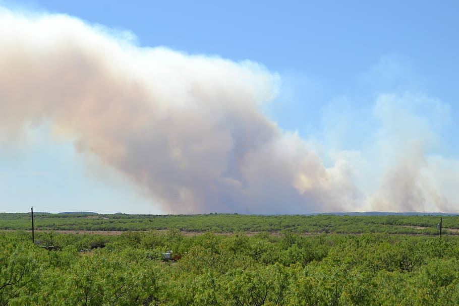 Wildfire, Smoke, Land, Acreage, brush, texas, landscape, nature HD wallpaper