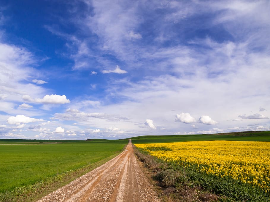 fields, sky, rural, clouds, landscape, environment, cloud - sky HD wallpaper