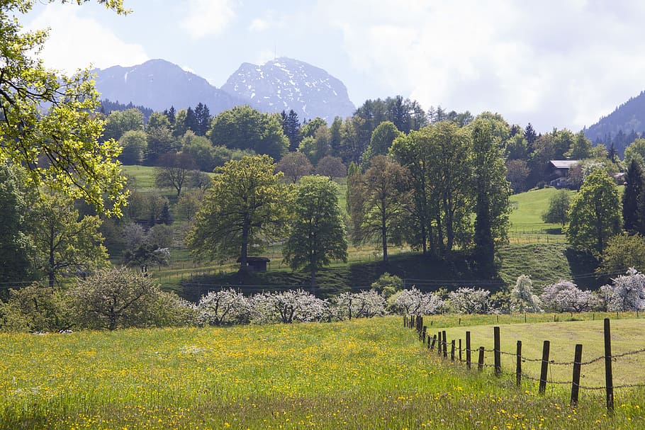 Май саншайн. Пейзажи Пушкинские горы. Забор на пастбище. Wendelstein гора. Май горы картинки.