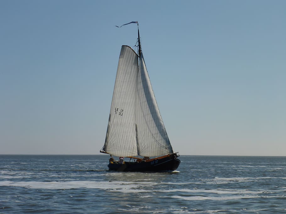 body of water, sea, sailing boat, craft, flat bottom, wadden sea, HD wallpaper