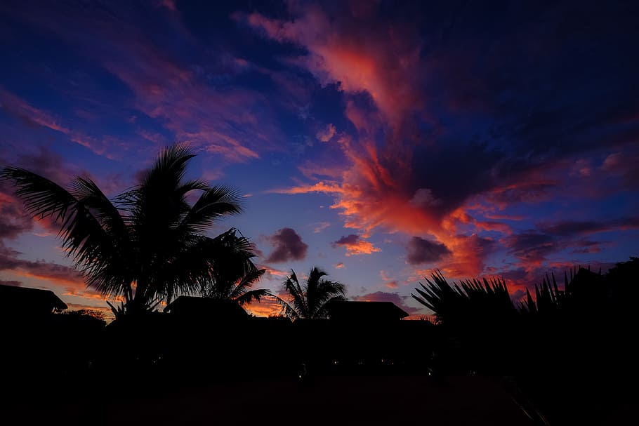 dawn, landscape, nature, sky, clouds, outdoors, palm, silhouette HD wallpaper