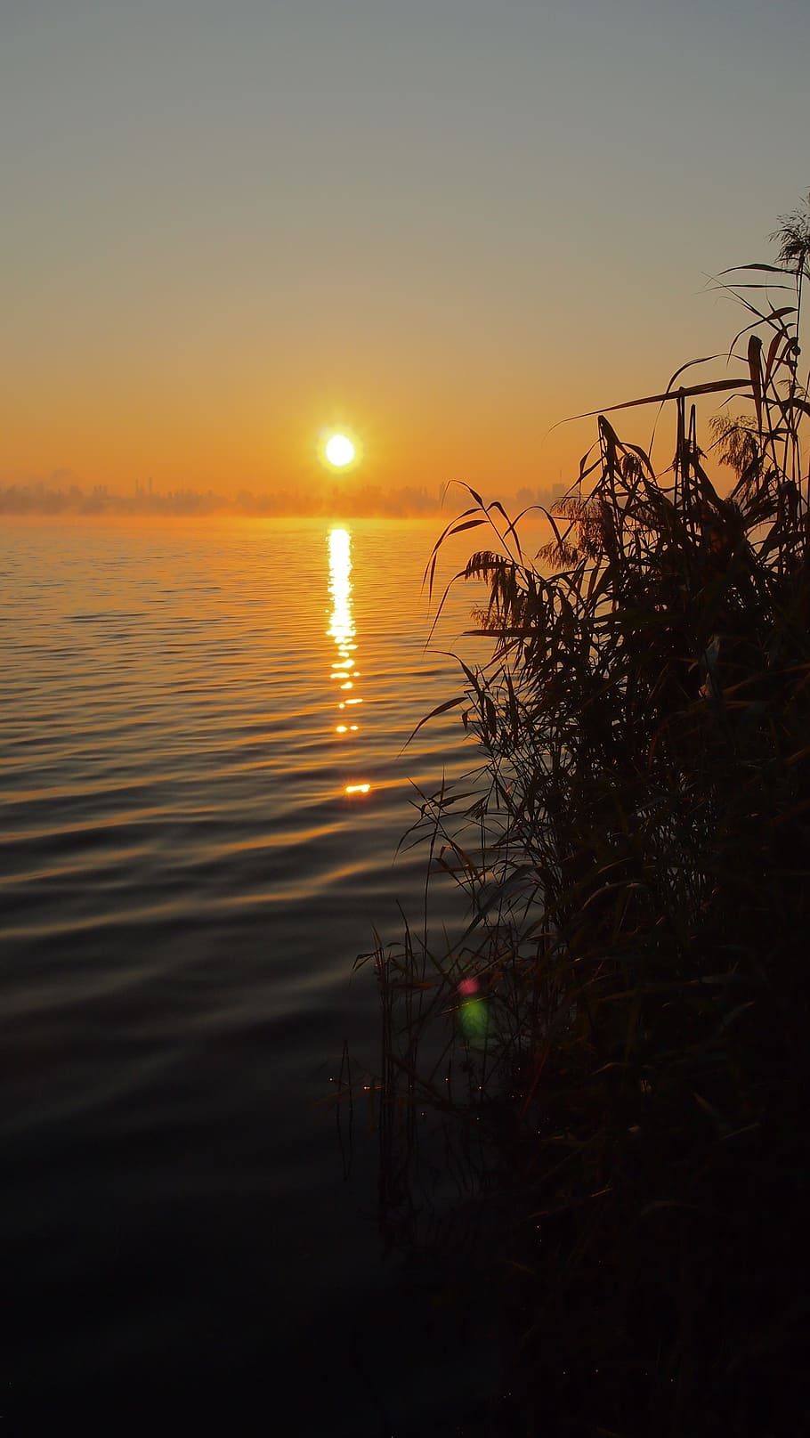 orange sky, dawn, fog, reflection, sunset, sunrise, cane, nature HD wallpaper