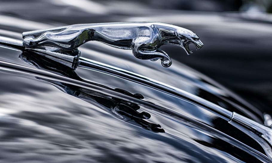 hood-ornament-jaguar-luxury-brand-jaguar-car.jpg