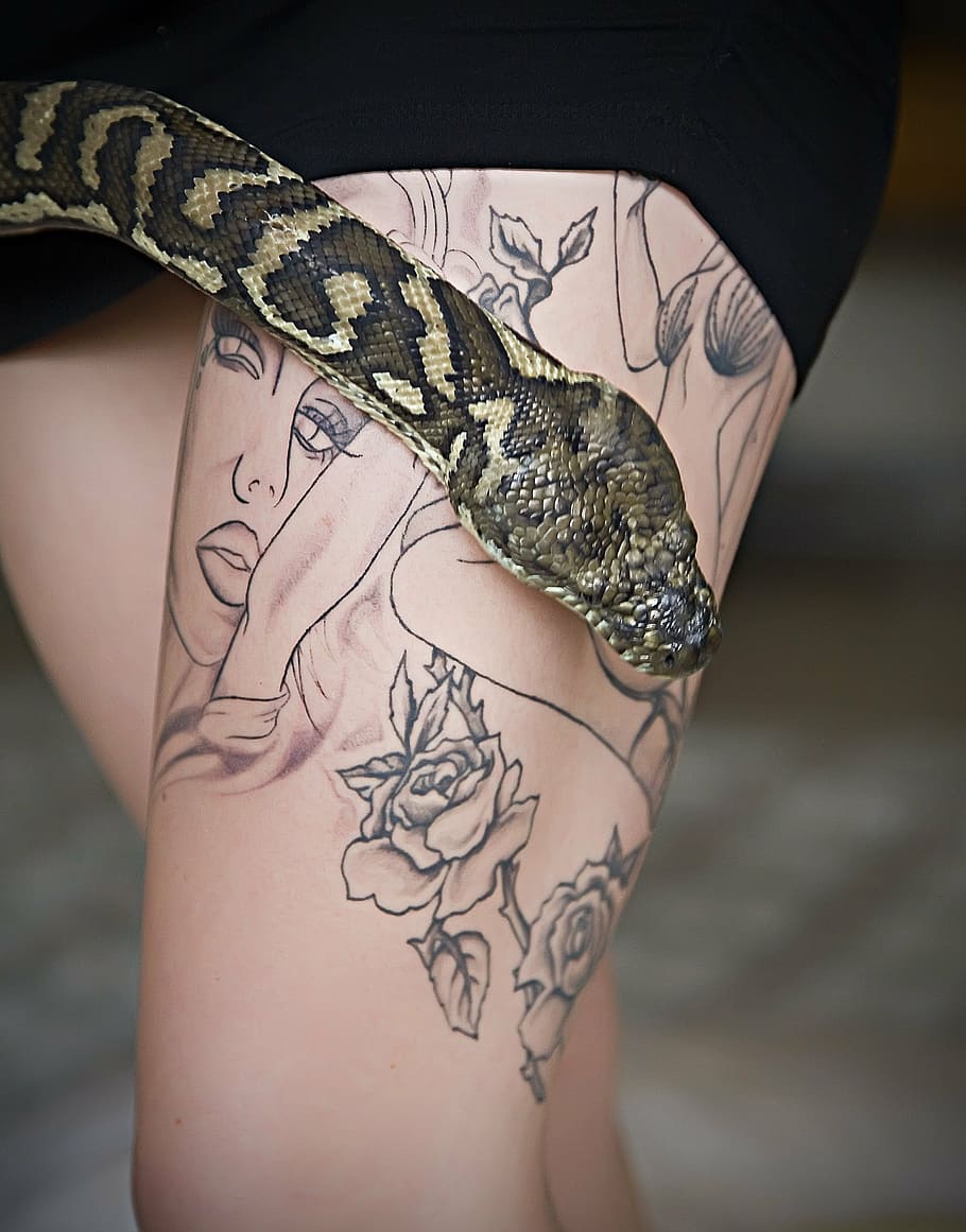 Dragon And Snake Tattoo by djakal12 on DeviantArt