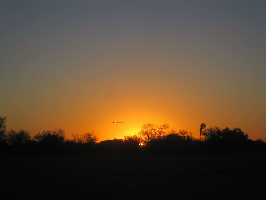 sunset, horizon, orange, glow, diffuse, tone, even, bush, sky HD wallpaper