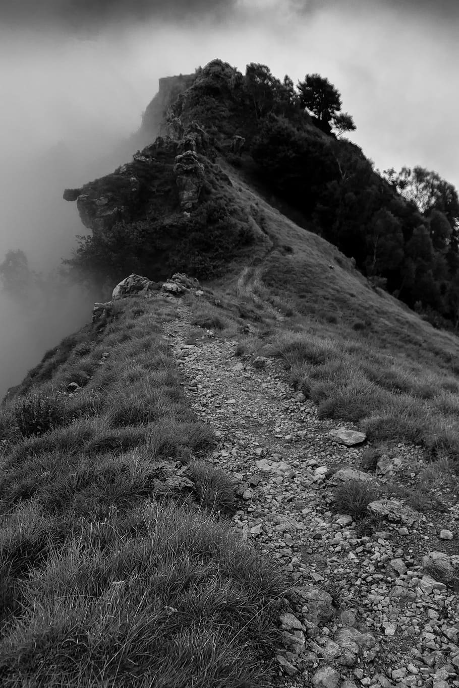 path, mountain, landscape, plant, beauty in nature, no people HD wallpaper