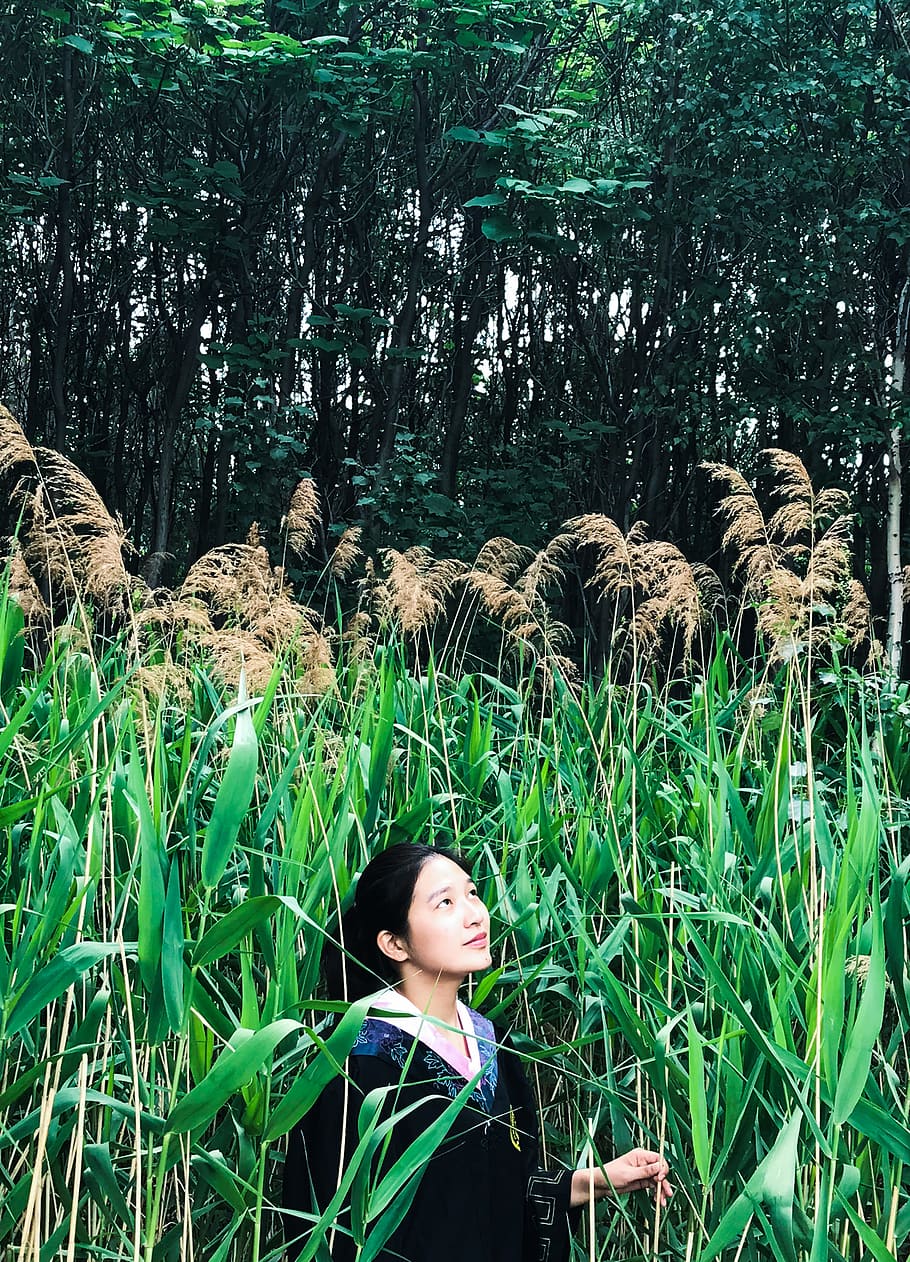 the wild, character, grass, plant, one person, growth, young adult HD wallpaper