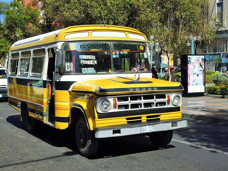 bus, vehicle, oldtimer, auto, city bus service, retro, transport HD wallpaper