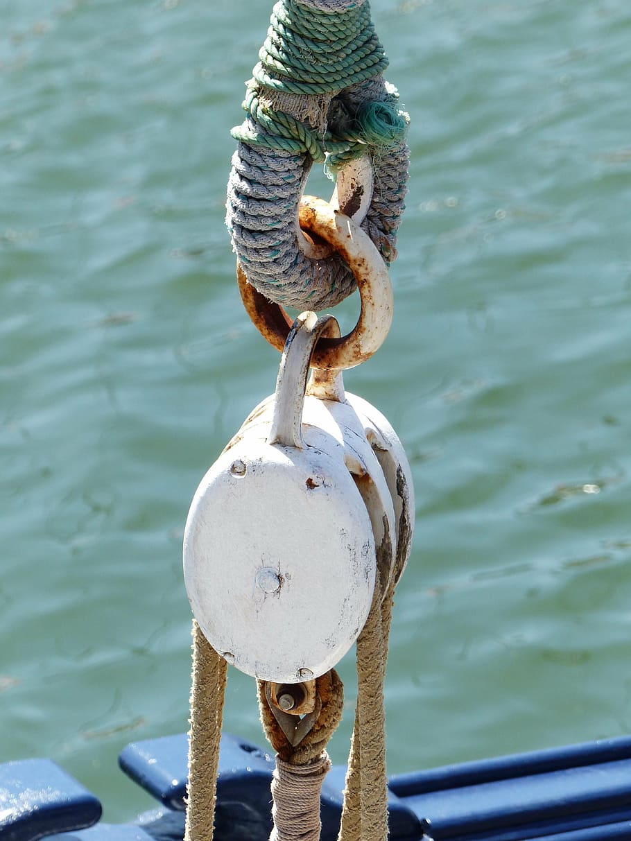 boat, sea, rope, water, day, vertebrate, no people, animal HD wallpaper