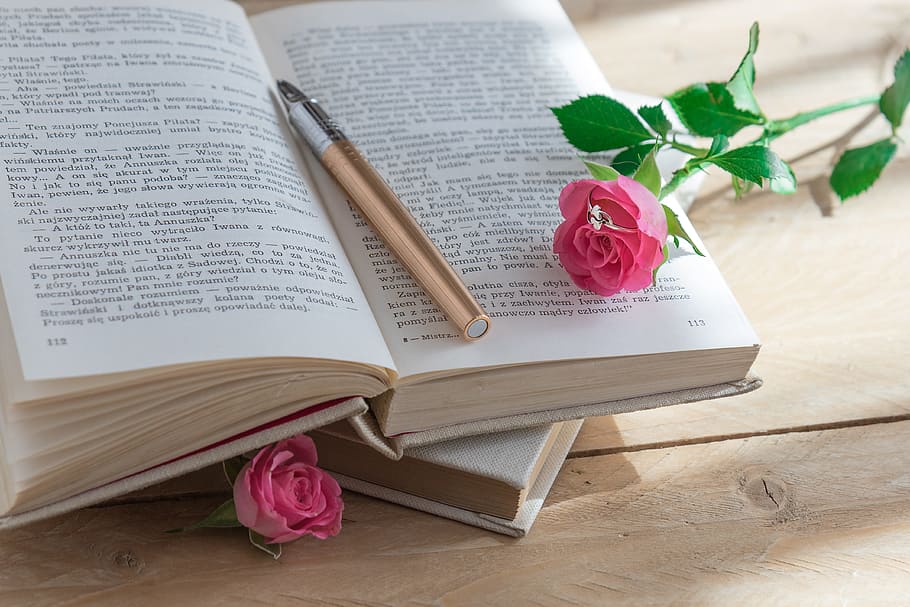 selective focus photography of pink roses on opened book, Old Book HD wallpaper