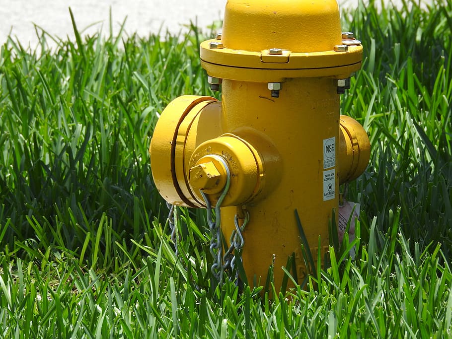 fire, fire hose, emergency, firefighting, grass, plant, yellow HD wallpaper
