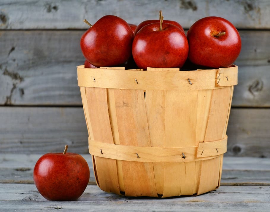 bunch of red apples in brown wooden bucket, basket, fruit, harvest HD wallpaper