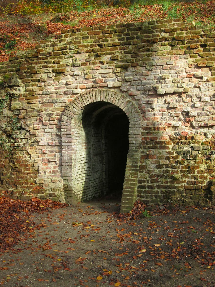 wall, historical, monument, basement, bats, historic building HD wallpaper