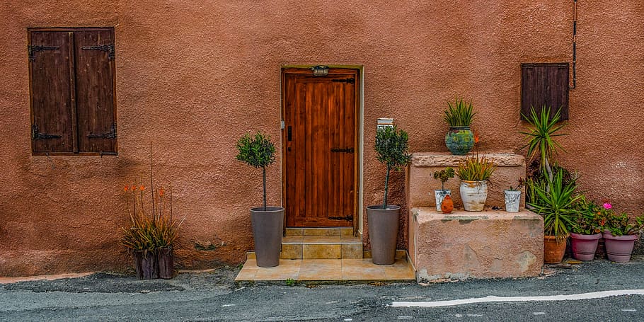 two potted plants outside brown wooden door, house, architecture
