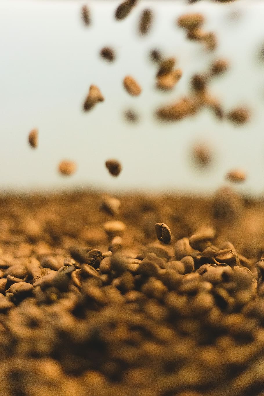 coffee bean lot, closeup photo of coffee beans, tasty, coffeebean HD wallpaper