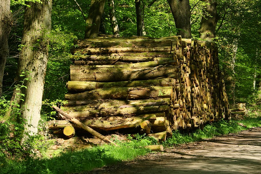 wood, nature, tree, wood pile, firewood, holzstapel, stacked up, HD wallpaper