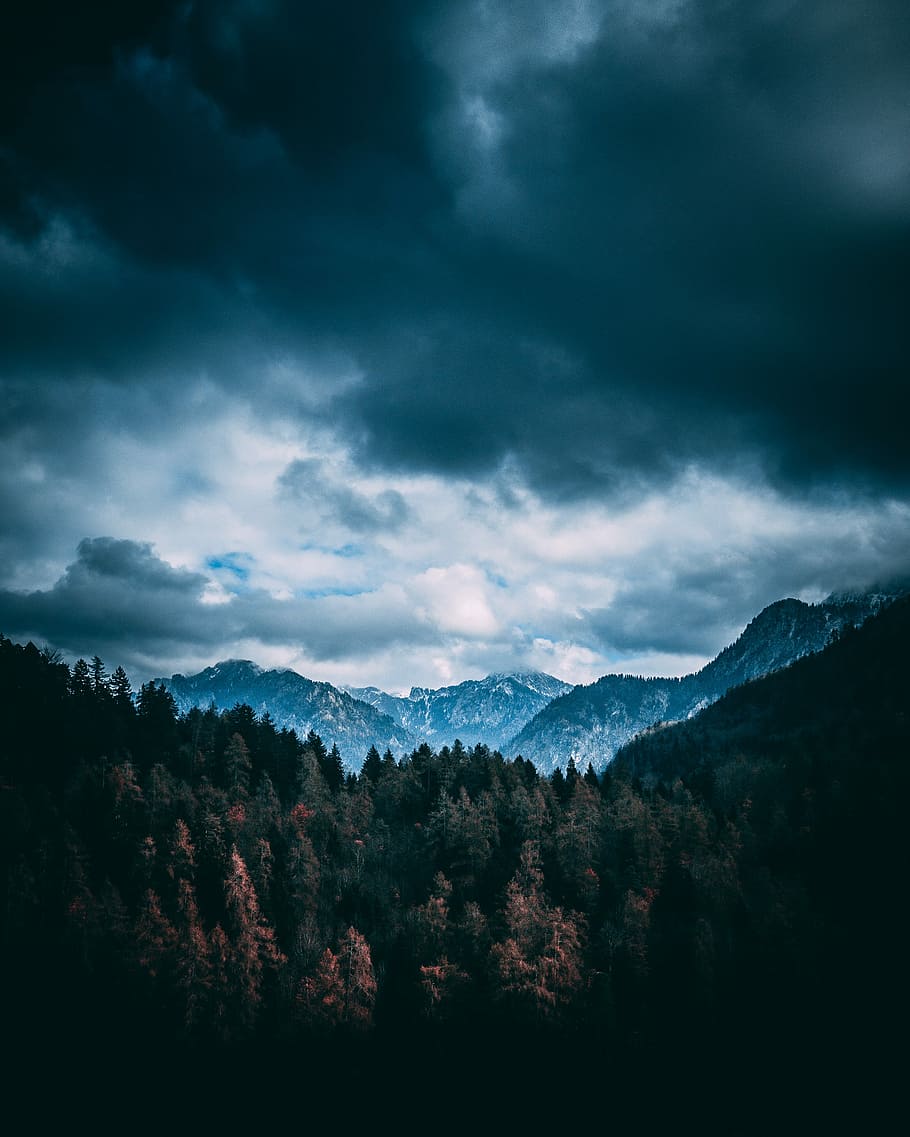 forest and mountains under gray clouds, mountains under gray cloudy sky HD wallpaper