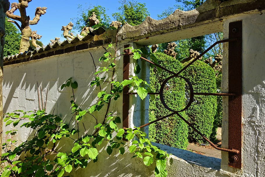 wall, window, window opening, bars, foliage, tree, see through HD wallpaper